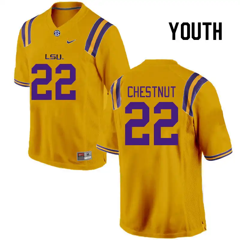 LSU Tigers #22 Duce Chestnut Youth Gold NCAA Football Jersey 2409OFGF1