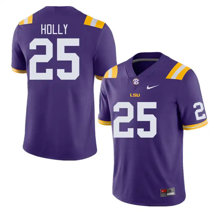 LSU Tigers #25 Trey Holly Men's Purple NCAA Football Jersey 2409EBSS8